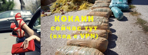 ПСИЛОЦИБИНОВЫЕ ГРИБЫ Богданович