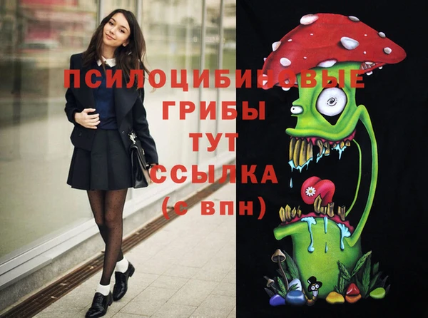 первитин Белокуриха