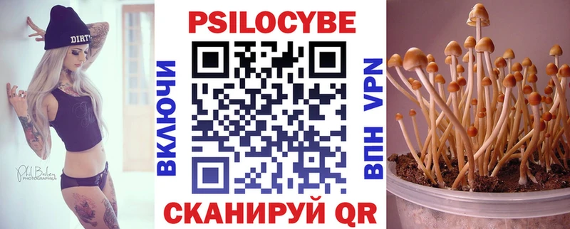 Псилоцибиновые грибы мицелий Светлогорск